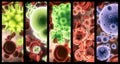 Virus, bacteria and cell structure of disease closeup in series for medical investigation or research. Covid, particle Royalty Free Stock Photo