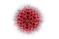 virus, bacteria, cell on white background Royalty Free Stock Photo