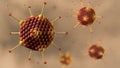 Virus cells of the adenovirus family