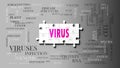 Virus - a complex subject, related to many concepts. Pictured as a puzzle and a word cloud made of most important ideas and