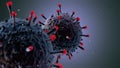 Virus 017: 3D Animation of the Coronavirus