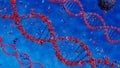 Virus destroys human dna chain. Genome structure.