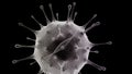 Virus with DNA helix inside on black background Royalty Free Stock Photo