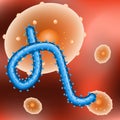 Virus ebola and human cell