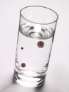 Glass of water infected from virus contagion risk.