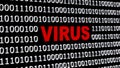 VIRUS lettering in red integrated into a binary code screen made of white digits - Security business concept Royalty Free Stock Photo