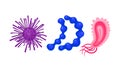 Virus and Microbes of Different Shape with Flagella Vector Set