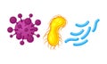 Virus and Microbes of Different Shape with Flagella Vector Set