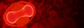 Virus Monkeypox virus, close-up, dark red background banner with empty space