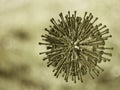 Virus seen under a scanning microscope