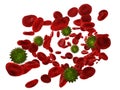 Virus in streaming blood cells