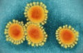 Virus under microscope, closeup