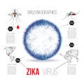 Virus zika vector illustration infographics Royalty Free Stock Photo