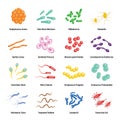 Viruses and bacteria icons set, flat style Royalty Free Stock Photo