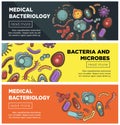 Viruses and bacteria web banners flat vector design for medical healthcare and biology or bacteriology science Royalty Free Stock Photo