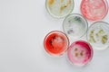 Viruses and bacteria in a Petri dish, studying the growth of bacteria on different samples in the laboratory. Royalty Free Stock Photo