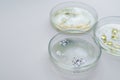 Viruses and bacteria in a Petri dish, studying the growth of bacteria on different samples in the laboratory. Royalty Free Stock Photo