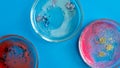 Viruses and bacteria in a Petri dish, various analyses in the laboratory. Virology and virus research, concept.