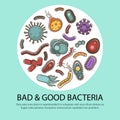 Viruses and bacteria poster for medical healthcare and biology or bacteriology science flat vector design Royalty Free Stock Photo