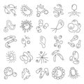 Viruses and bacterias line icons set for web and mobile design