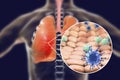 Viruses in human lungs