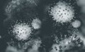 Viruses and microorganisms under a microscope. Abstract composition on a medical theme