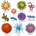 Viruses. Sketch color herpes, hiv and papilloma, zika and coronavirus. Cancer, streptococcus cells. Germs and bacteria