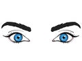 Visa, anatomy of the face. The eyes are female blue. Vector