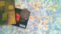 Visa bank card and half dollar coin