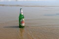 Visakhapatnam, Andhra Pradesh on 16th March in 2016 : An empty beer bottle lying down on the sand in Vizag Yarada beach. Royalty Free Stock Photo