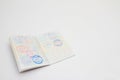 Visas on Japanese passort Royalty Free Stock Photo