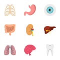 Viscera icons set, flat style