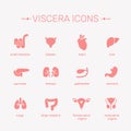 Viscera vector illustration. Royalty Free Stock Photo