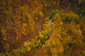 Visegrad,Hungary - Aerial view of autumn forest with curvy road Royalty Free Stock Photo