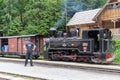 Viseu de Sus old train