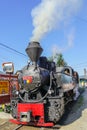 Viseu de Sus steam train