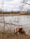 Damage From Tornado that Struck Wetumpka, Alabama Royalty Free Stock Photo