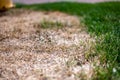 Visible distinction between healthy lawn and chemical burned grass.