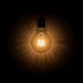 Is visible inside the bulb, creating a starburst pattern of light rays Royalty Free Stock Photo