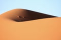 Beautiful, perfect curly shape of orange sand dune on the outskirts of Sahara Desert. Detail, close-up. Morocco, Africa Royalty Free Stock Photo