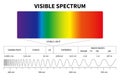 Visible light diagram. Color electromagnetic spectrum, light wave frequency. Educational school physics vector Royalty Free Stock Photo