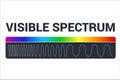 Visible light diagram. Color electromagnetic spectrum, light wave frequency. Educational school physics vector Royalty Free Stock Photo