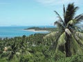 View across the coconut groves on the northwestern tip of Koh Samui