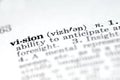 Vision Royalty Free Stock Photo