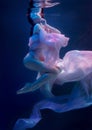 Vision. Sensual ballet dancer underwater, weightlessness and freedom. Blurred focus