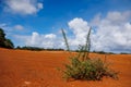 Visit Azores, Santa Maria island, desert area in Portugal