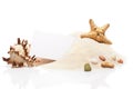 Visit card, starfish, seashell and stones on pile of sand Royalty Free Stock Photo