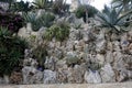 Visit the exotic garden of Monaco