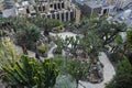 Visit the exotic garden of Monaco