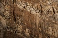 Inside the Vjetrenica caves